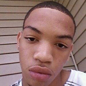 Meet your Posher, Elsie